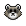 165 raccoon.png